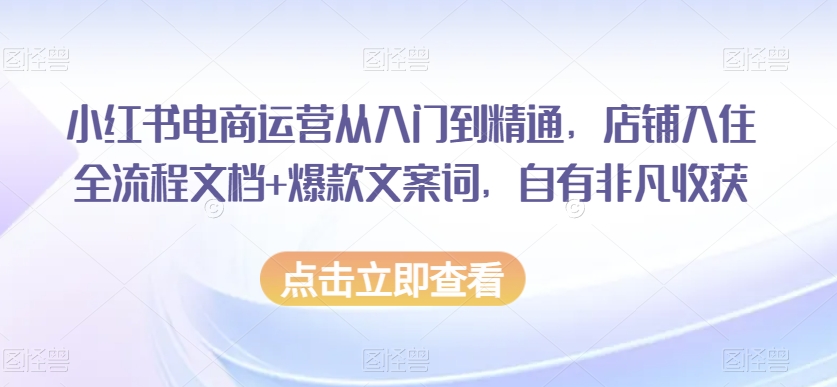 小红书电商运营从入门到精通,店铺入住全流程文档+爆款文案词,自有非凡收获-知乎者也