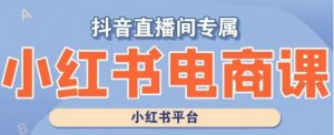 小红书电商高级运营课程,实操教学+案例分析-知乎者也