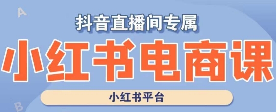 小红书电商高级运营课程，实操教学+案例分析-知乎者也