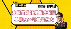 全网首发红果免费短剧掘金项目,单机30+可批量放大【揭秘】-知乎者也
