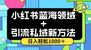 小红书蓝海虚拟＋引流私域新方法，100%不限流，日入轻松1000＋，小白无脑操作【揭秘】-知乎者也