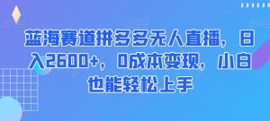 蓝海赛道拼多多无人直播，日入2600+，0成本变现，小白也能轻松上手【揭秘】-知乎者也