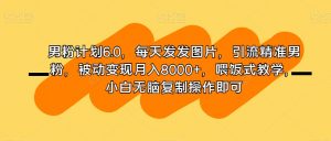 男粉计划6.0,每天发发图片,引流精准男粉,被动变现月入8000+,喂饭式教学,小白无脑复制操作即可-知乎者也