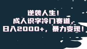 逆袭人生！成人识字冷门赛道，日入2000+，暴力变现！【揭秘】-知乎者也