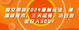 图文带货2024最新玩法，破播放技术，三天起号，小白也能日入500+【揭秘】-知乎者也