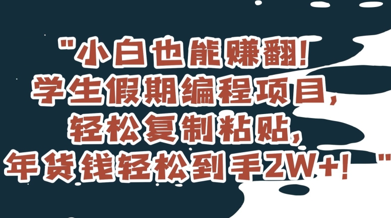 小白也能赚翻!学生假期编程项目,轻松复制粘贴,年货钱轻松到手2W+【揭秘】-知乎者也