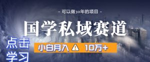暴力国学私域赛道,小白月入10万+,引流+转化完整流程【揭秘】-知乎者也
