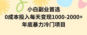 小白副业首选，0成本投入，每天变现1000-2000年底暴力冷门项目【揭秘】-知乎者也