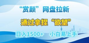 “赏颜”网盘拉新赛道,通过拿捏“欲望”日入1500+,小白易上手【揭秘】-知乎者也