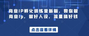商业IP孵化训练营新版,教你做商业Ip,做好人设,流量搞好钱-知乎者也