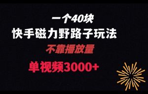 一个40块，快手联合美团磁力新玩法，无视机制野路子玩法，单视频收益4位数【揭秘】-知乎者也