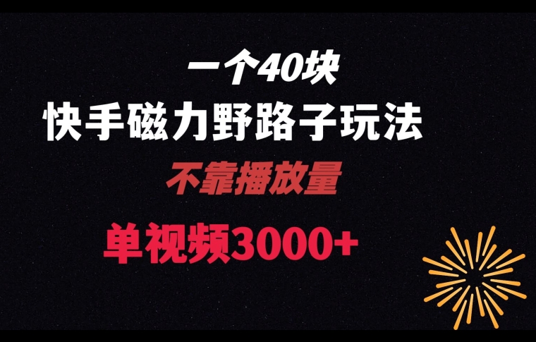 一个40块,快手联合美团磁力新玩法,无视机制野路子玩法,单视频收益4位数【揭秘】-知乎者也