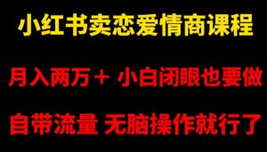 小红书卖恋爱情商课程，月入两万＋，小白闭眼也要做，自带流量，无脑操作就行了【揭秘】-知乎者也
