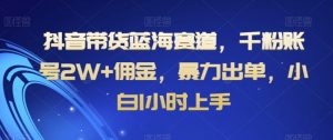 抖音带货蓝海赛道，千粉账号2W+佣金，暴力出单，小白1小时上手【揭秘】-知乎者也