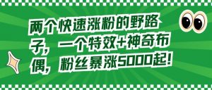 两个快速涨粉的野路子,一个特效+神奇布偶,粉丝暴涨5000起【揭秘】-知乎者也