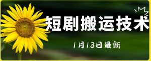 最新短剧搬运技术，电脑手机都可以操作，不限制机型-知乎者也