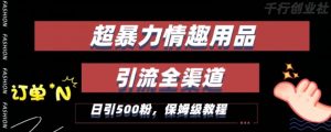 最新情趣项目引流全渠道,自带高流量,保姆级教程,轻松破百单,日引500+粉【揭秘】-知乎者也