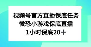 视频号直播任务，微恐小游戏，1小时20+【揭秘】-知乎者也