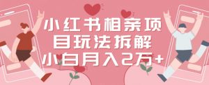 小红书相亲项目玩法拆解,有人通过这个副业项目做到了月收入2万多【揭秘】-知乎者也