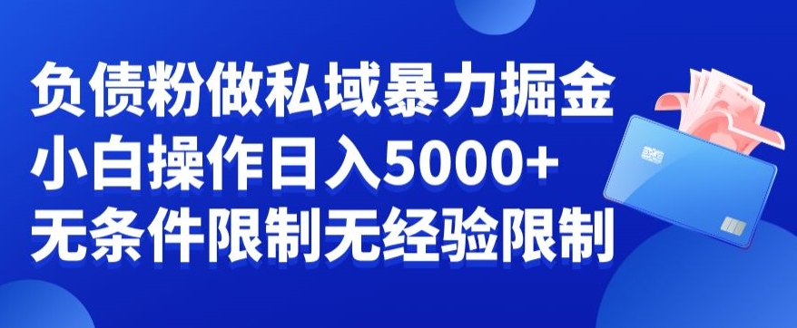 负债粉私域暴力掘金，小白操作入5000，无经验限制，无条件限制【揭秘】-知乎者也