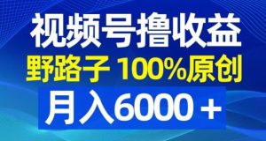 视频号野路子撸收益,100%原创,条条爆款,月入6000+【揭秘】-知乎者也