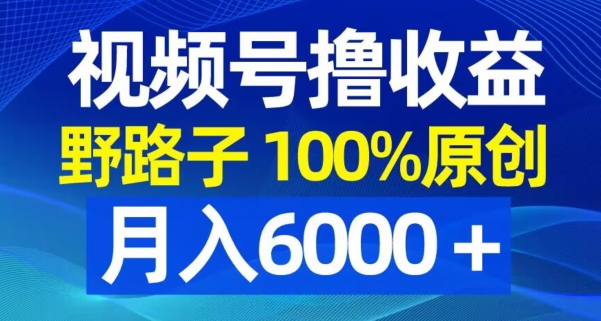 视频号野路子撸收益，100%原创，条条爆款，月入6000＋【揭秘】-知乎者也
