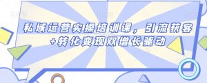 私域运营实操培训课,引流获客+转化变现双增长驱动-知乎者也