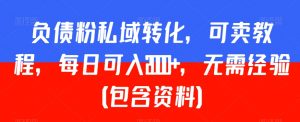 负债粉私域转化,可卖教程,每日可入2000+,无需经验(包含资料)【揭秘】-知乎者也