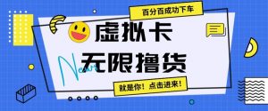 虚拟卡无限撸货，百分百成功下车【仅揭秘】-知乎者也