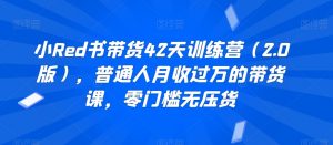 小Red书带货42天训练营(2.0版),普通人月收过万的带货课,零门槛无压货-知乎者也