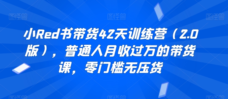 小Red书带货42天训练营(2.0版),普通人月收过万的带货课,零门槛无压货-知乎者也