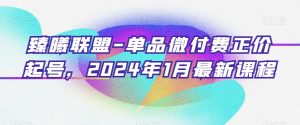 臻曦联盟-单品微付费正价起号，2024年1月最新课程-知乎者也
