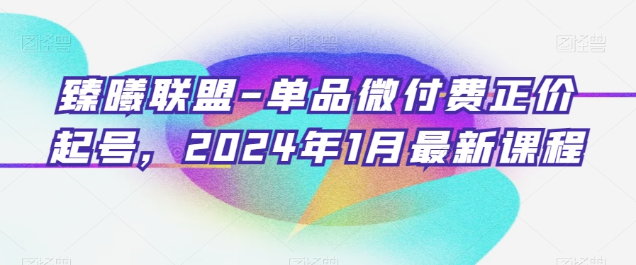 臻曦联盟-单品微付费正价起号,2024年1月最新课程-知乎者也