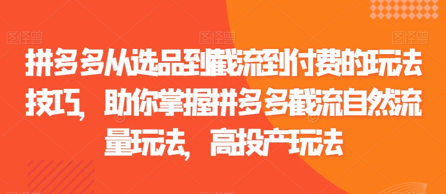 拼多多从选品到截流到付费的玩法技巧,助你掌握拼多多截流自然流量玩法,高投产玩法-知乎者也