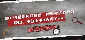2024最新风口项目，视频号变老特效项目，电脑小白上手3天卖了3w+，保姆级教程【揭秘】-知乎者也