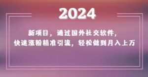 2024新项目，通过国外社交软件，快速涨粉精准引流，轻松做到月入上万【揭秘】-知乎者也