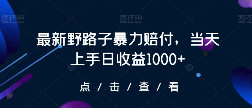 最新野路子暴力赔付，当天上手日收益1000+【仅揭秘】-知乎者也