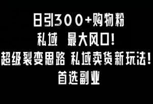 日引300+购物粉，超级裂变思路，私域卖货新玩法，小红书首选副业【揭秘】-知乎者也