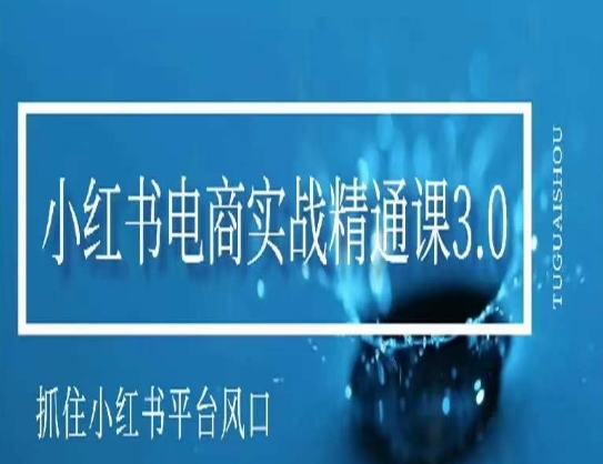 小红书电商实战精通课3.0，抓住小红书平台的风口，不错过有一个赚钱的机会-知乎者也