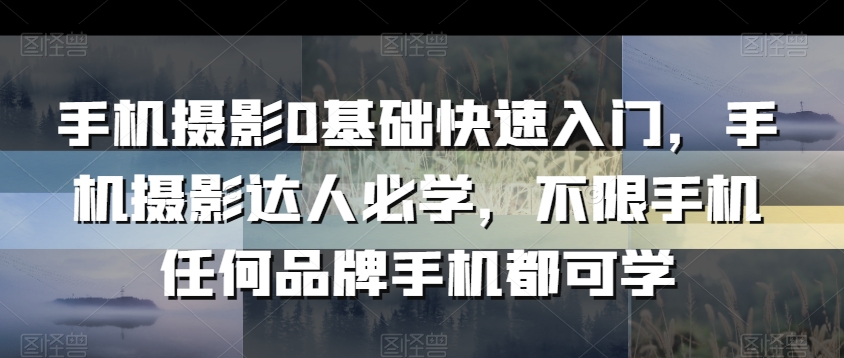 手机摄影0基础快速入门,手机摄影达人必学,不限手机任何品牌手机都可学-知乎者也