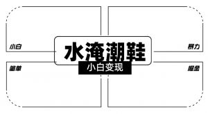 2024全新冷门水淹潮鞋无人直播玩法，小白也能轻松上手，打爆私域流量，轻松实现变现【揭秘】-知乎者也