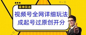 视频号全网最详细玩法，起号过原创开分成，单号日入300+【揭秘】-知乎者也