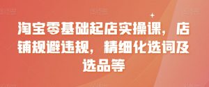 淘宝零基础起店实操课，店铺规避违规，精细化选词及选品等-知乎者也