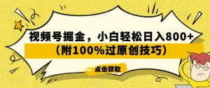 视频号掘金，小白轻松日入800+（附100%过原创技巧）【揭秘】-知乎者也