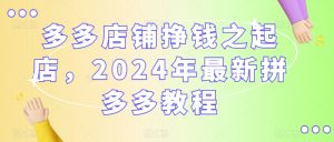 多多店铺挣钱之起店，2024年最新拼多多教程-知乎者也