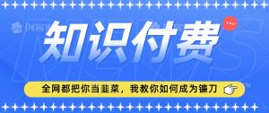 2024最新知识付费项目,小白也能轻松入局,全网都在教你做项目,我教你做镰刀【揭秘】-知乎者也