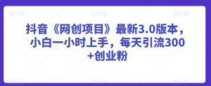 抖音《网创项目》最新3.0版本，小白一小时上手，每天引流300+创业粉【揭秘】-知乎者也