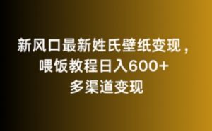 新风口最新姓氏壁纸变现，喂饭教程日入600+【揭秘】-知乎者也