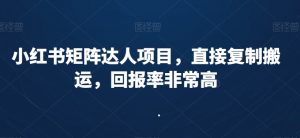 小红书矩阵达人项目,直接复制搬运,回报率非常高-知乎者也