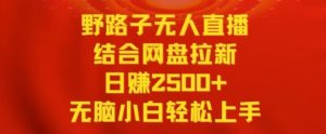 野路子无人直播结合网盘拉新,日赚2500+,小白无脑轻松上手【揭秘】-知乎者也